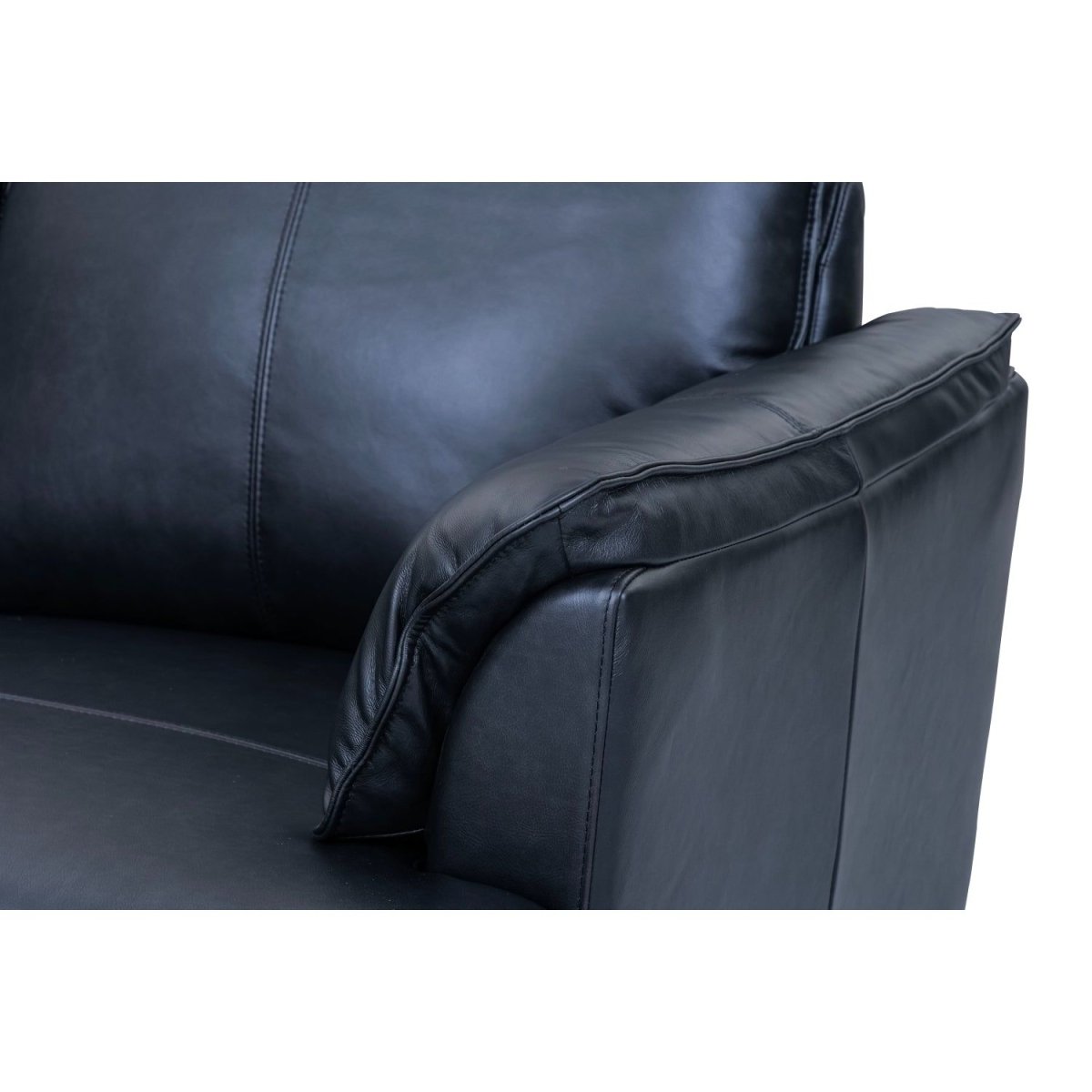 2-Sitzer Ledersofa Soul – Echtleder Schwarz, Skandinavisch